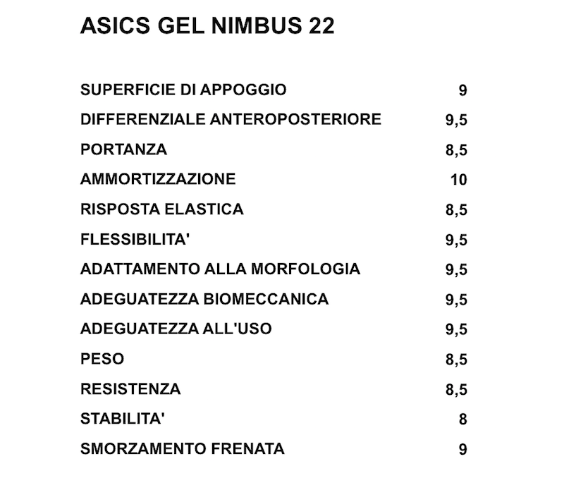 Asics Gel Nimbus 22